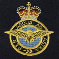 RAF Silk Blazer Badge